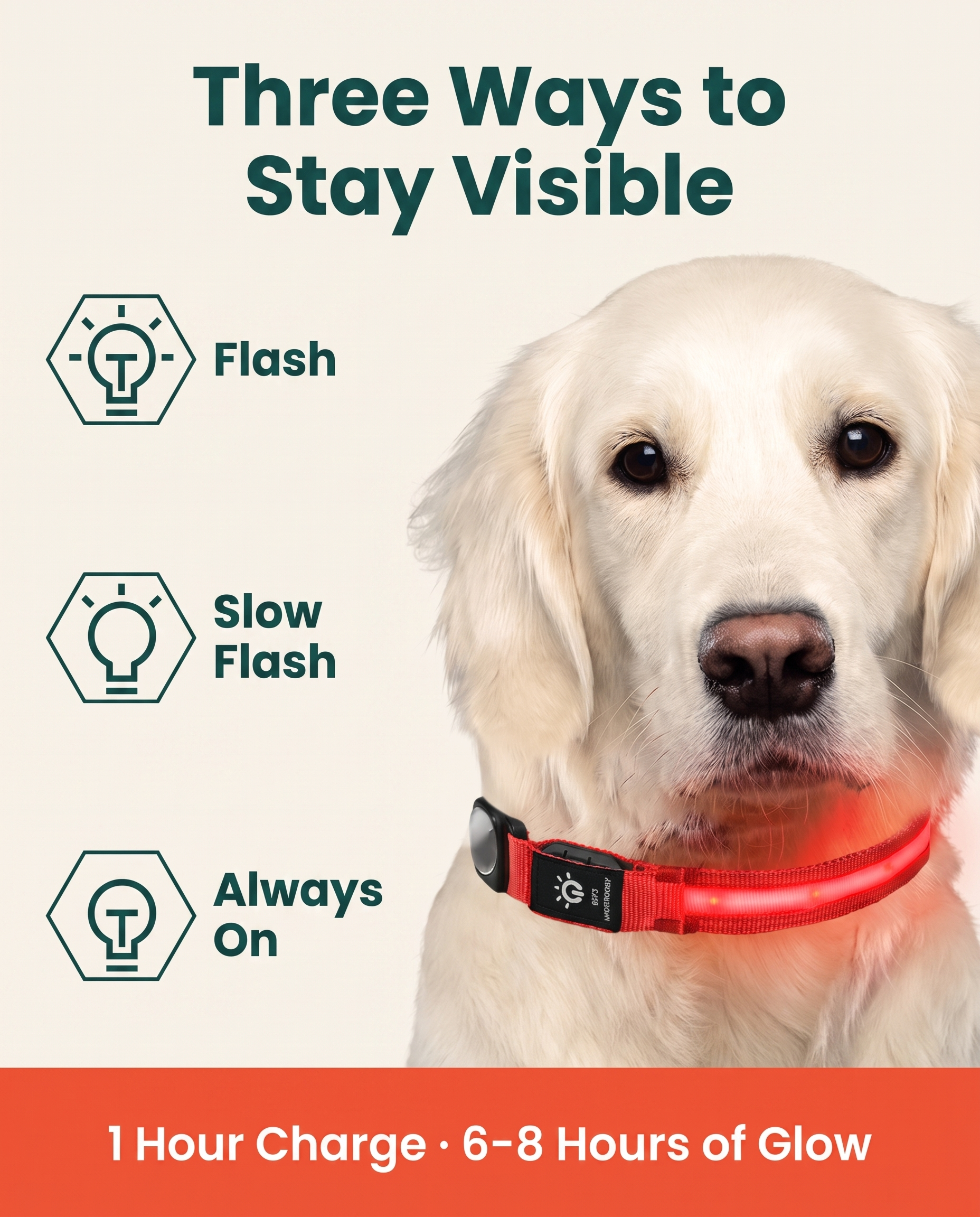 LED Safety Collar — AirTag Holder, Waterproof, Rechargeable